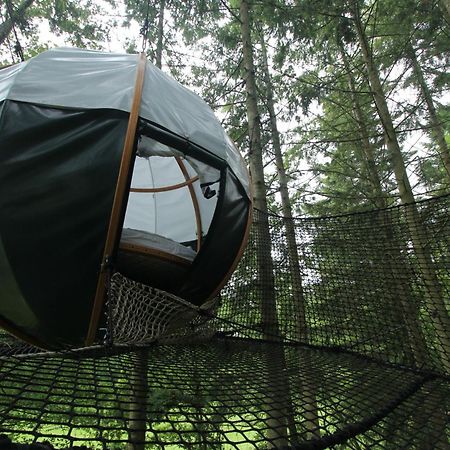 Insolite Dans Les Arbres Les Ormes, Epiniac Bed and Breakfast Esterno foto