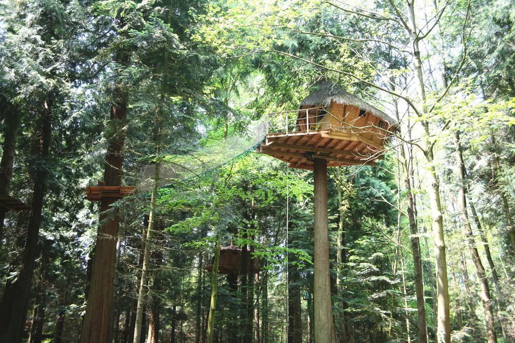 Insolite Dans Les Arbres Les Ormes, Epiniac Bed and Breakfast Esterno foto