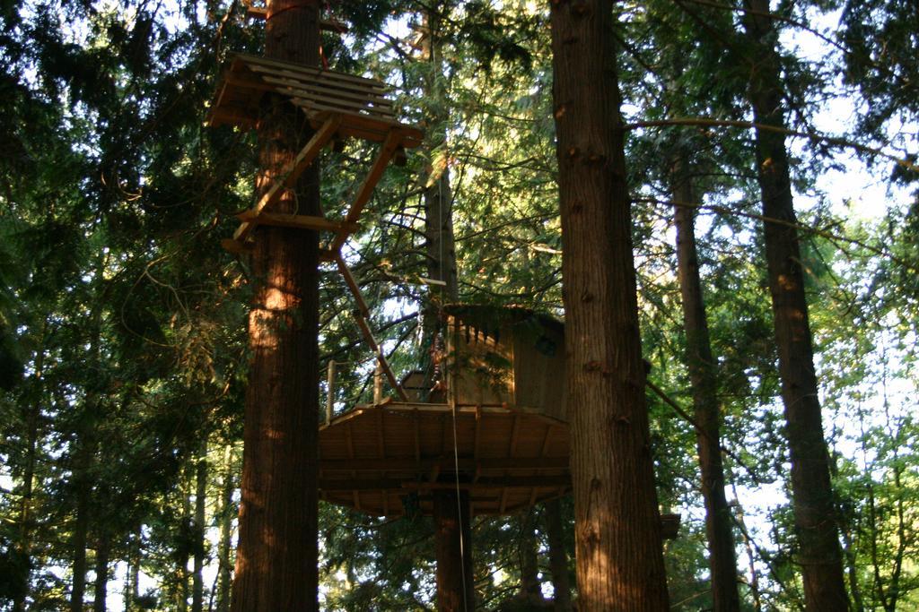 Insolite Dans Les Arbres Les Ormes, Epiniac Bed and Breakfast Esterno foto