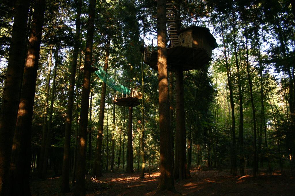 Insolite Dans Les Arbres Les Ormes, Epiniac Bed and Breakfast Esterno foto