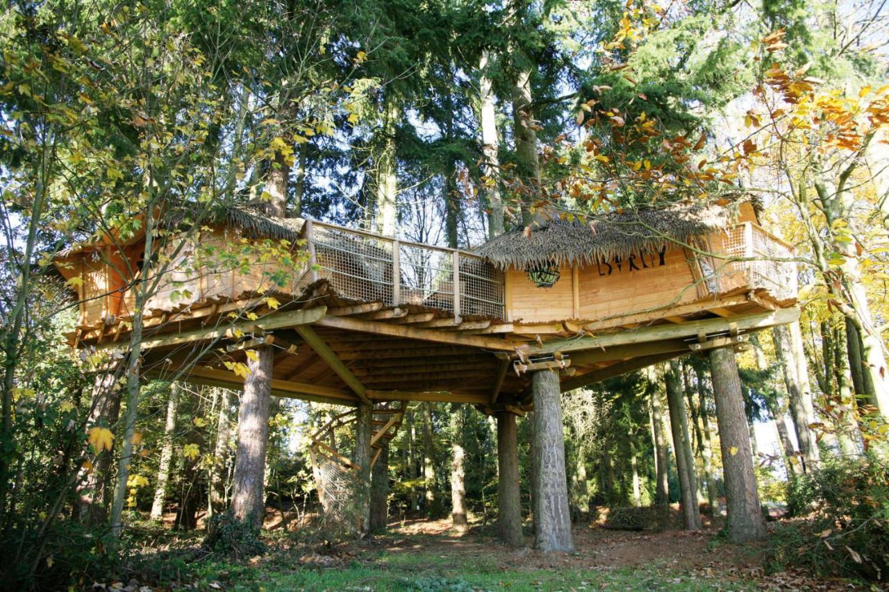 Insolite Dans Les Arbres Les Ormes, Epiniac Bed and Breakfast Esterno foto