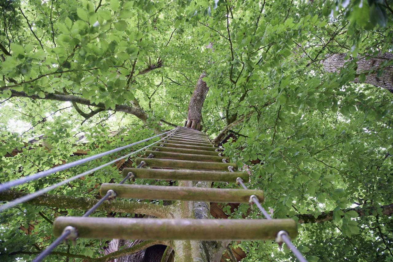 Insolite Dans Les Arbres Les Ormes, Epiniac Bed and Breakfast Esterno foto