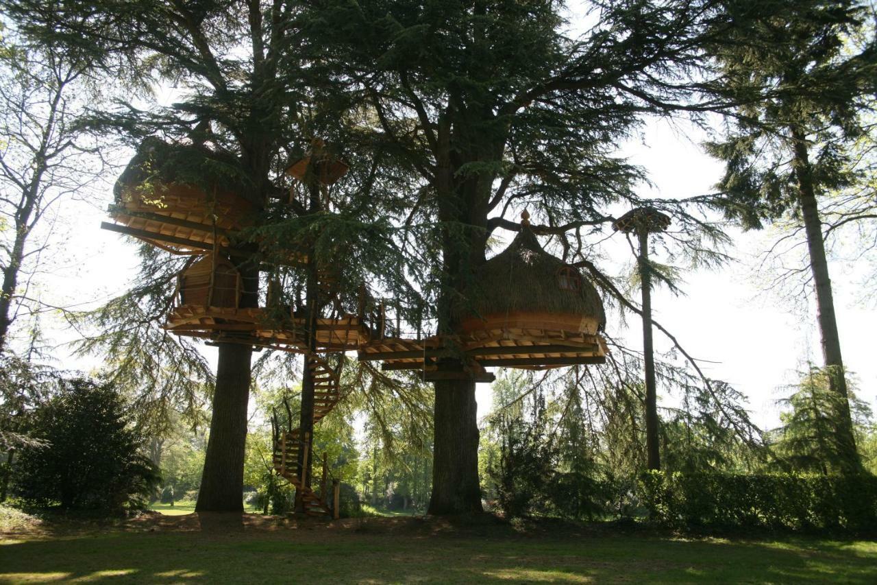 Insolite Dans Les Arbres Les Ormes, Epiniac Bed and Breakfast Esterno foto