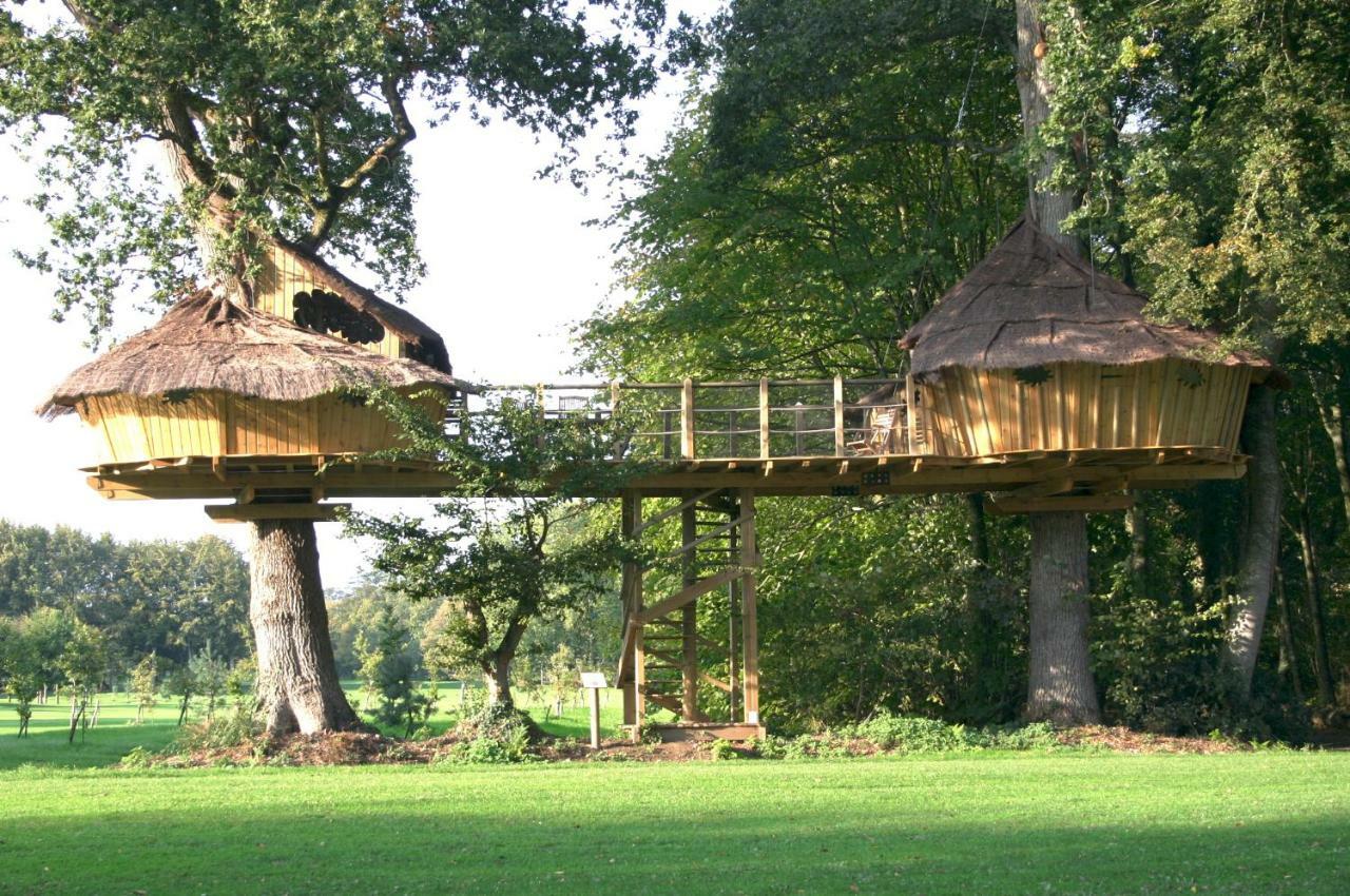 Insolite Dans Les Arbres Les Ormes, Epiniac Bed and Breakfast Esterno foto