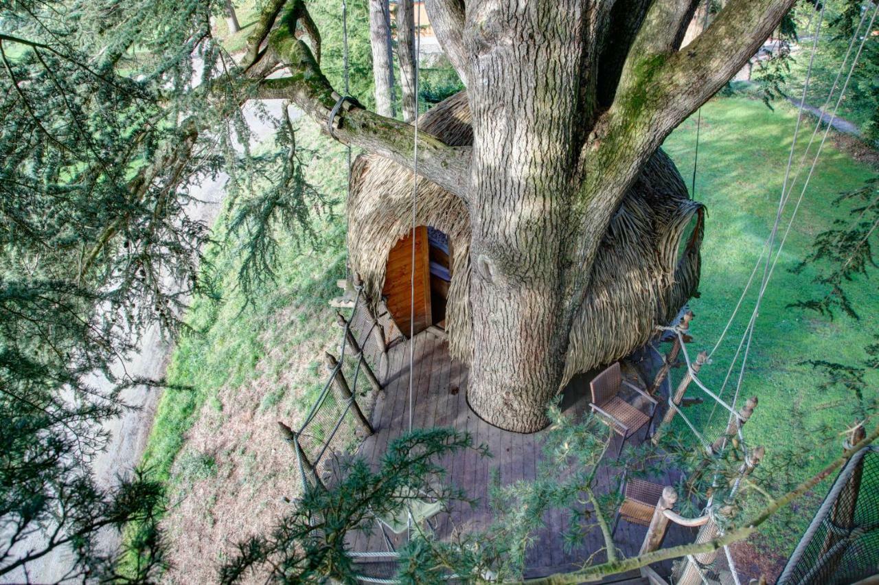 Insolite Dans Les Arbres Les Ormes, Epiniac Bed and Breakfast Esterno foto