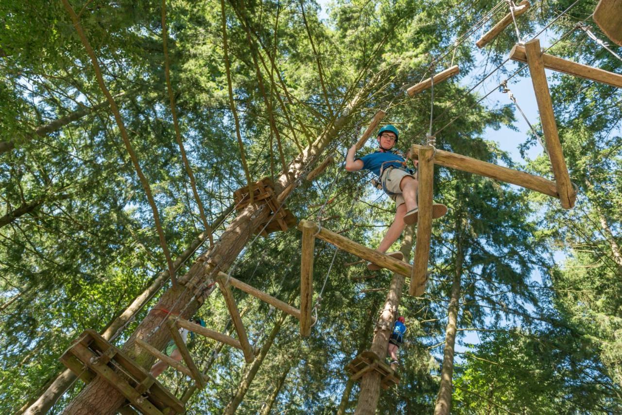 Insolite Dans Les Arbres Les Ormes, Epiniac Bed and Breakfast Esterno foto